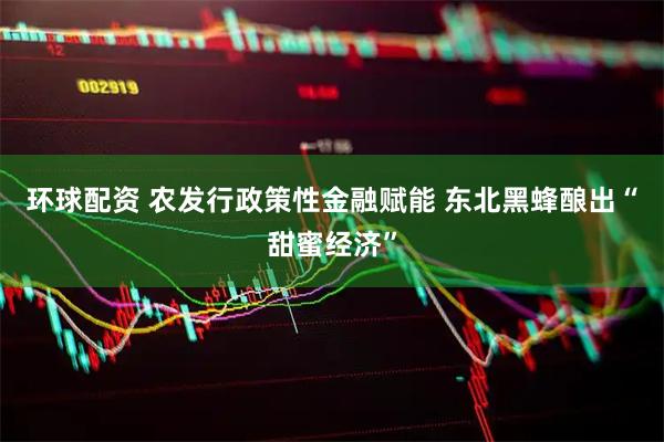 环球配资 农发行政策性金融赋能 东北黑蜂酿出“甜蜜经济”
