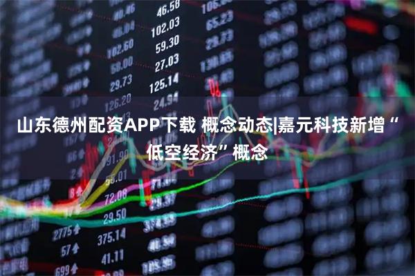 山东德州配资APP下载 概念动态|嘉元科技新增“低空经济”概念