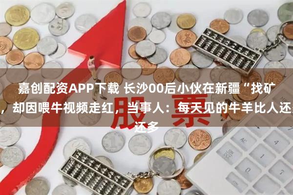 嘉创配资APP下载 长沙00后小伙在新疆“找矿”，却因喂牛视频走红，当事人：每天见的牛羊比人还多